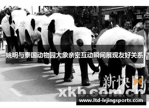 姚明与泰国动物园大象亲密互动瞬间展现友好关系 姚明与泰国动物园大象亲密互动瞬间展现友好关系