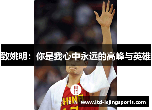 致姚明：你是我心中永远的高峰与英雄